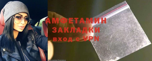 крисы Богородицк
