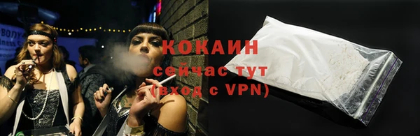 крисы Богородицк