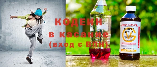 крисы Богородицк
