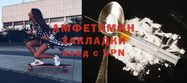 крисы Богородицк