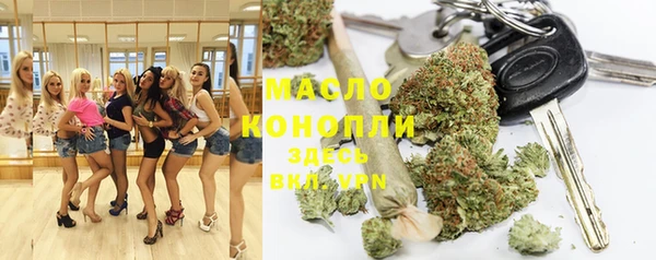 крисы Богородицк