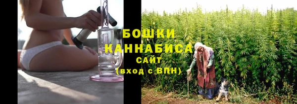 крисы Богородицк